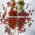 KOSHER certified ningxia bulk goji berries wholesale goji berry